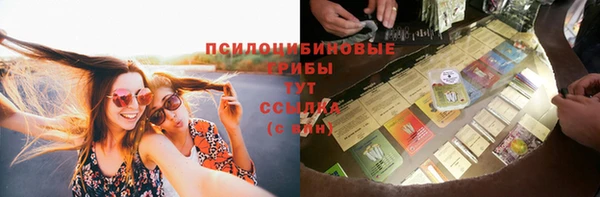 гашик Горнозаводск