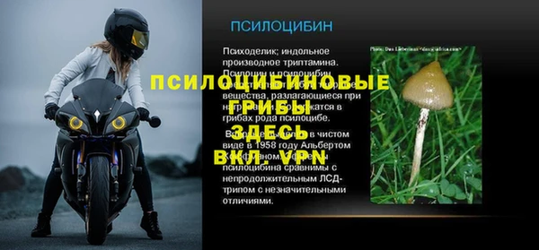 дурь Вязьма