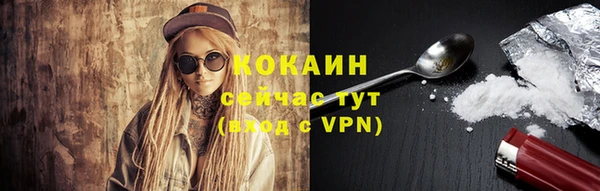 спайс Горняк